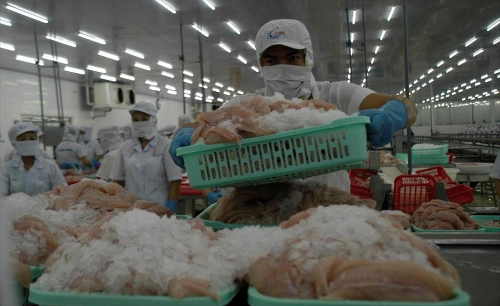 Đề xuất tăng hỗ trợ cho doanh nghiệp thủy sản xúc tiến thương mại truyền thống 