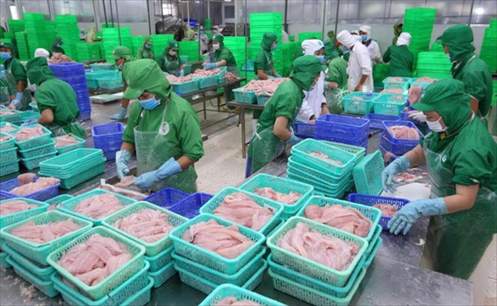 POR17: Thêm NTSF SEAFOODS được hưởng thuế chống bán phá giá 0% khi xuất cá tra sang Mỹ