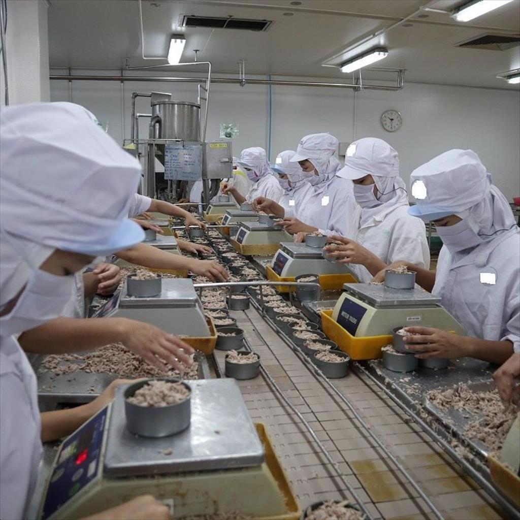 Xuất khẩu cá ngừ sang Bồ Đào Nha tăng vọt 135%