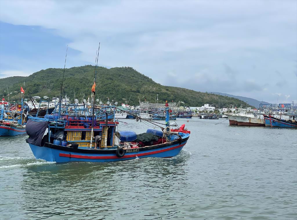 Việt Nam khó gỡ thẻ vàng thủy sản