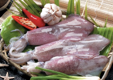 Tổng hợp và đánh giá tình hình sản xuất và xuất khẩu hải sản Việt Nam quý I/2012