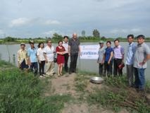 Cần Thơ Triển khai mô hình nuôi luân canh tôm càng xanh - lúa