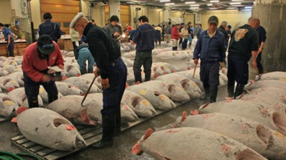 Thị trường cá ngừ Nhật Bản nhạy cảm về giá