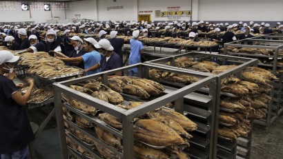 Philippine Giá cá ngừ biến động ảnh hưởng đến ngành đóng hộp 