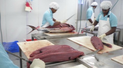 Nhu cầu tiêu thụ cá ngừ Sri Lanka tăng cao