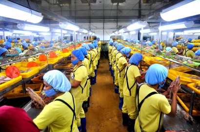 Malaysia hạn chế xuất khẩu cá ngừ