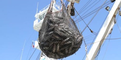 Các nước Thái Bình Dương cáo buộc Mỹ lạm dụng quy định cá ngừ