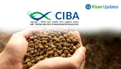 Ấn Độ phát triển loại thức ăn nuôi tôm mới