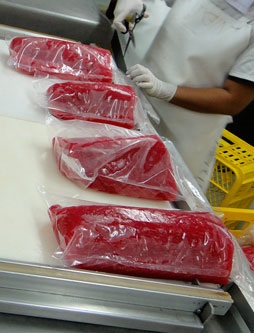 Tây Ban Nha Phản đối mức hạn ngạch thuế quan với sản phẩm thănphilê cá ngừ hấp chín 