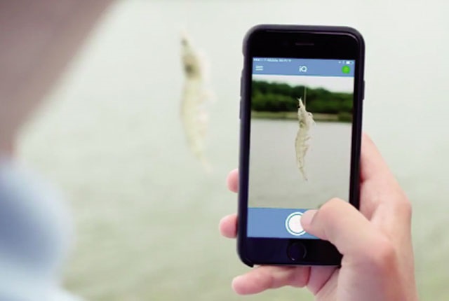 Kinh nghiệm về chuyển đổi số ứng dụng công nghệ thông tin vào sản xuất và kinh doanh thuỷ sản