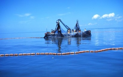 Phe đối lập quần đảo Cook chống lại thỏa thuận cá ngừ với EU