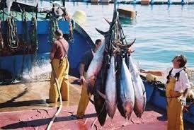 Indonesia cho phép các tàu khai thác trung chuyển sản lượng