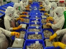 USFDA đào tạo các nhà XK tôm Ấn Độ về các tiêu chuẩn