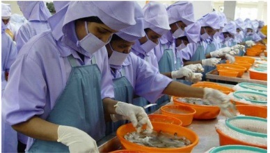 Ấn Độ Xuất khẩu thủy sản tăng nhờ giá tôm cao