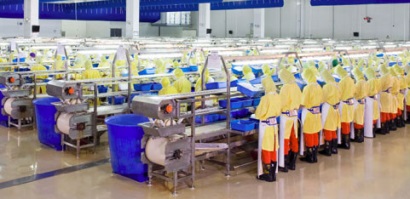 BMI (Indonesia) hướng tới cung cấp tôm bền vững