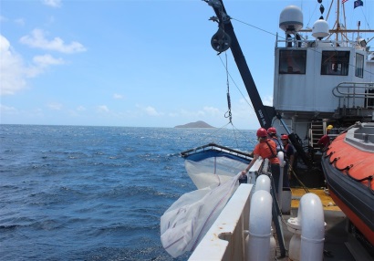 NOAA nhận góp ý về quy định “An toàn cá heo”