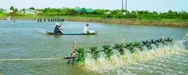 Nuôi kết hợp vừa lợi ích kinh tế, vừa đảm bảo môi trường