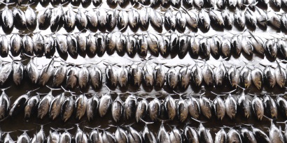 Giá cá ngừ sọc dưa tuần 37 ổn định 1.450 USDtấn