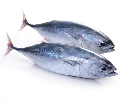 Giá cá ngừ vằn tăng do lệnh cấm FAD