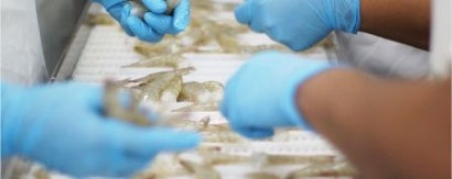 Seajoy tăng xuất khẩu tôm giá trị gia tăng