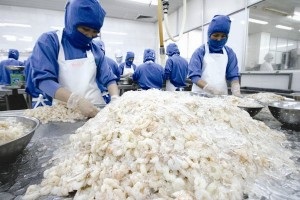 Thái Lan Các nhà chế biến thiếu nguyên liệu