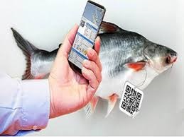 Hoàn thiện chuỗi cung ứng thủy sản với minh bạch xuất xứ và truy xuất nguồn gốc 