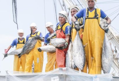 Peru giảm thuế nhiên liệu để tăng khả năng cạnh tranh của cá ngừ hộp