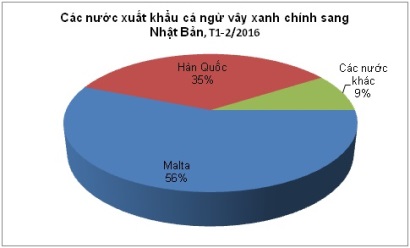 Giá cá ngừ vây xanh đông lạnh tại Nhật Bản tăng 18%