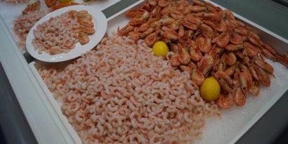 Mỹ Nhập khẩu tôm giảm