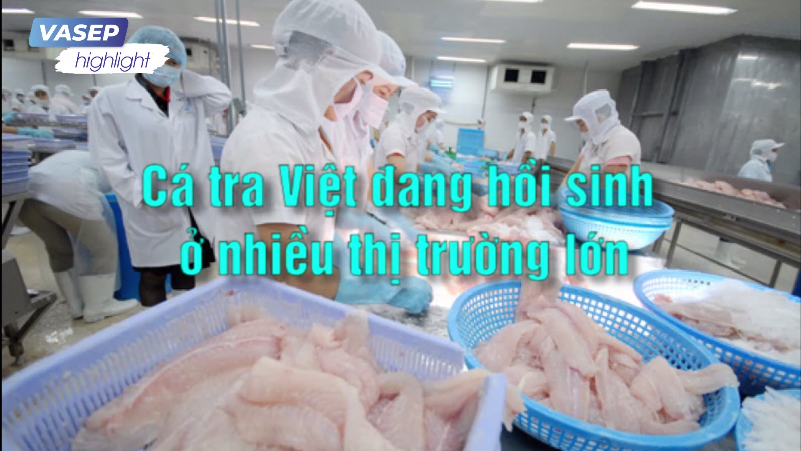 VASEP Highlight - Cá tra T3/2022: Cá tra Việt đang hồi sinh ở nhiều thị trường lớn