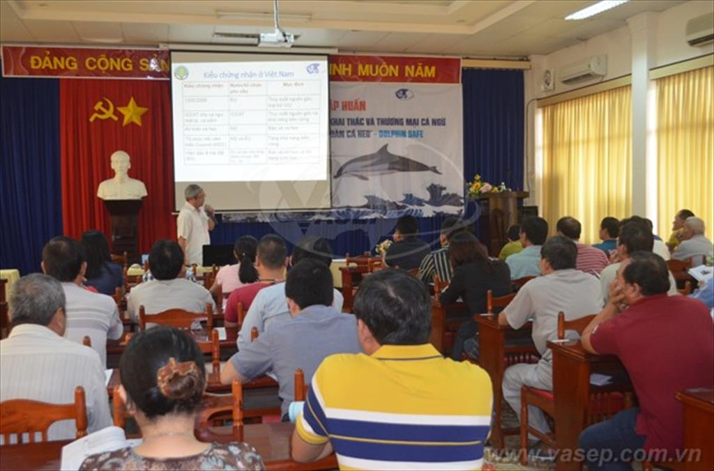 Tập huấn Quy định thị trường về khai thác và TM cá ngừ đủ điều kiện An toàn cá heo