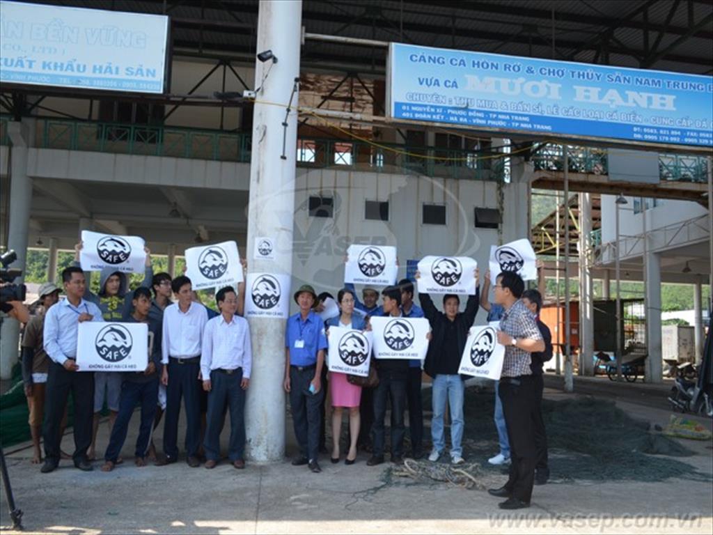 Chương trình truyền thông không gây hại cá Heo tại Khánh Hòa