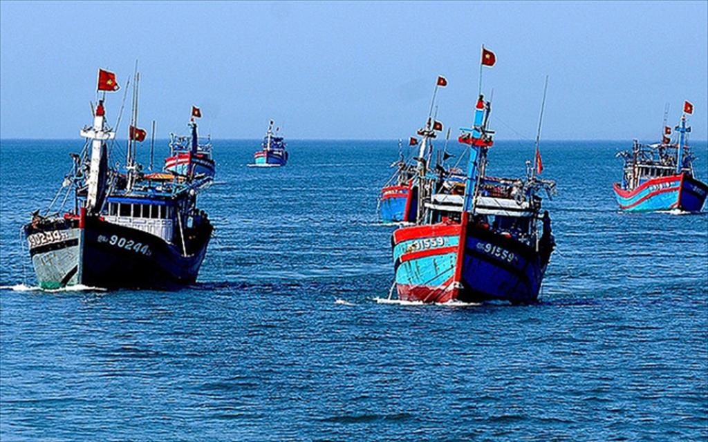 Truy xuất nguồn gốc thủy sản Chìa khóa gỡ thẻ vàng IUU