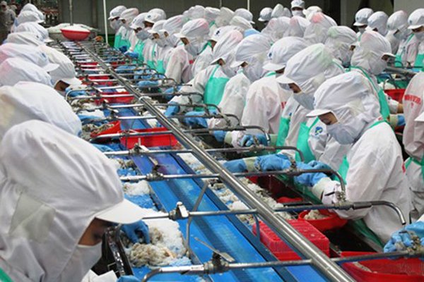 Chào năm 2021 đầy mới mẻ 