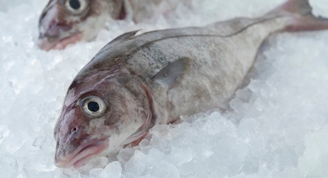 Cá bơn, cá haddock Trung Quốc vào Mỹ không được miễn thuế từ ngày 112021