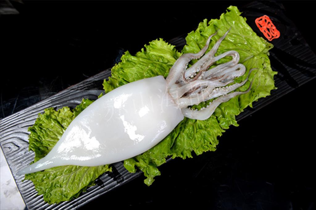 Hàn Quốc tăng nhập khẩu mực ống đông lạnh trong tháng 112020