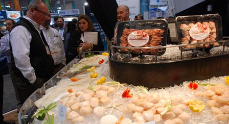 Tháng 102020, Mỹ tăng nhập khẩu sò điệp  