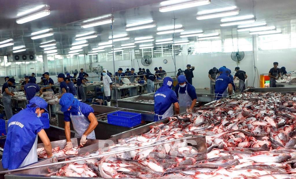 Campuchia đồng ý nối lại việc nhập khẩu một số loại cá từ Việt Nam