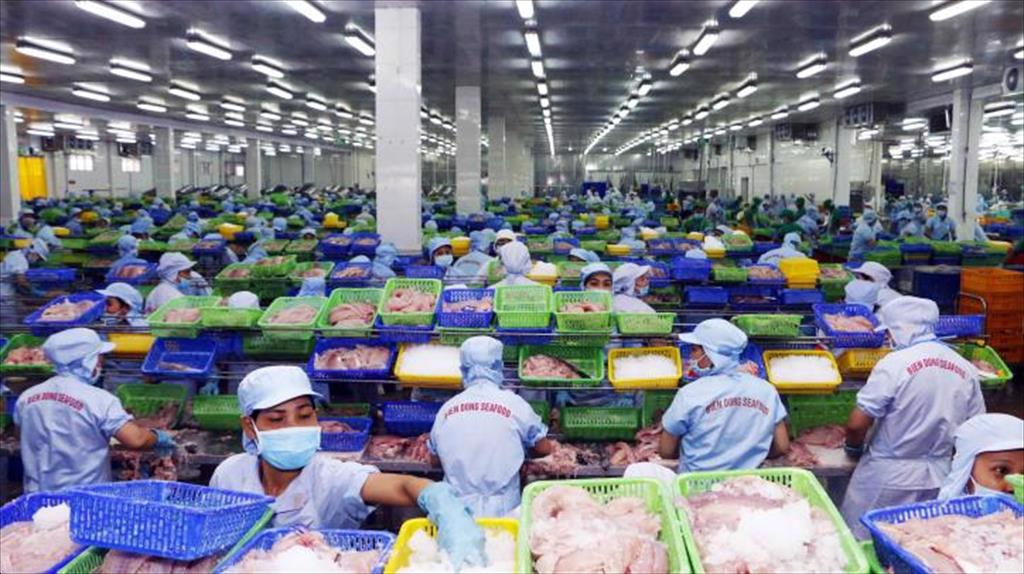 Bộ Tài chính hướng dẫn cách ghi xuất xứ hàng hóa trên tờ khai hải quan xuất khẩu