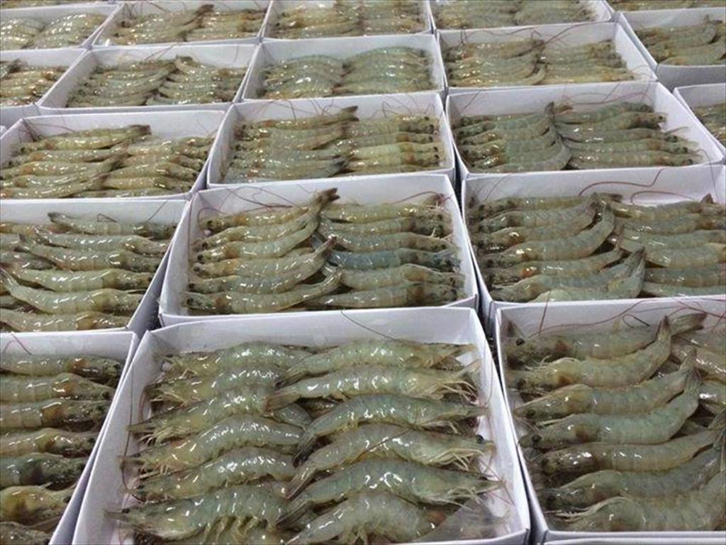 Xuất khẩu tôm Ấn Độ sang Mỹ tháng 12021 tiếp tục giảm