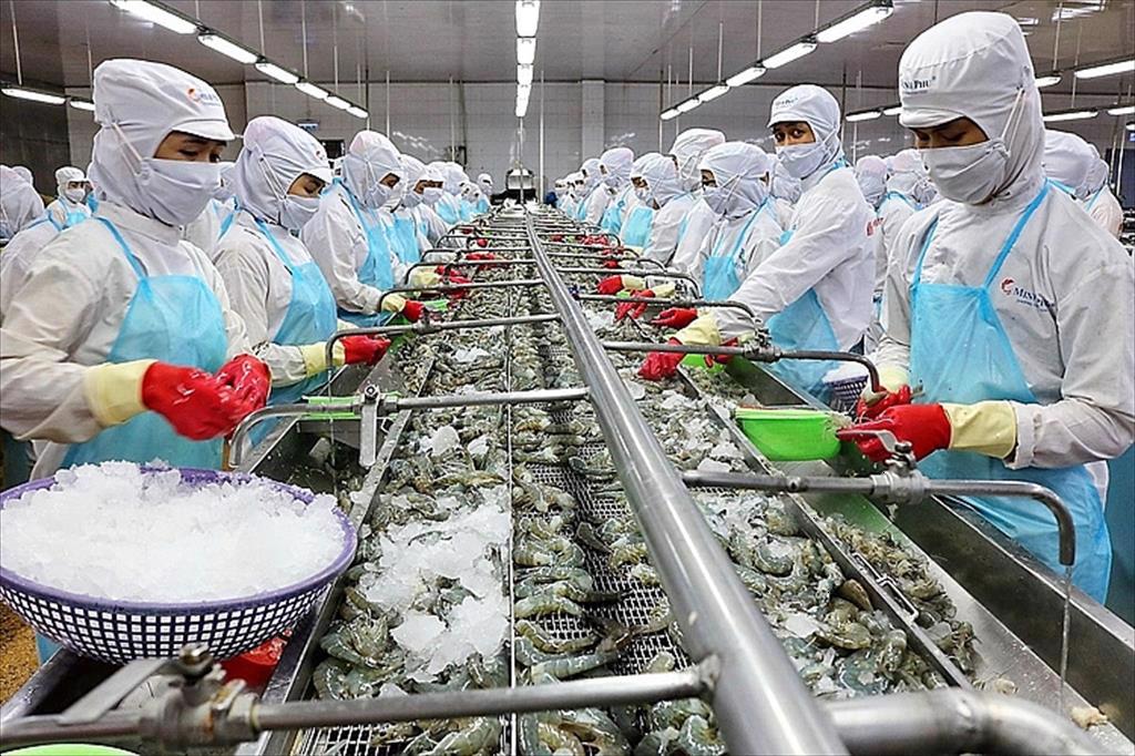 Việt Nam là thị trường cung cấp thủy sản lớn thứ 4 cho Nhật Bản