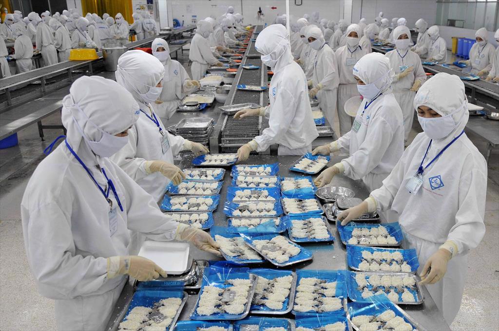 Quy định mới của EU về mẫu chứng thư cho các lô hàng thuỷ sản xuất khẩu