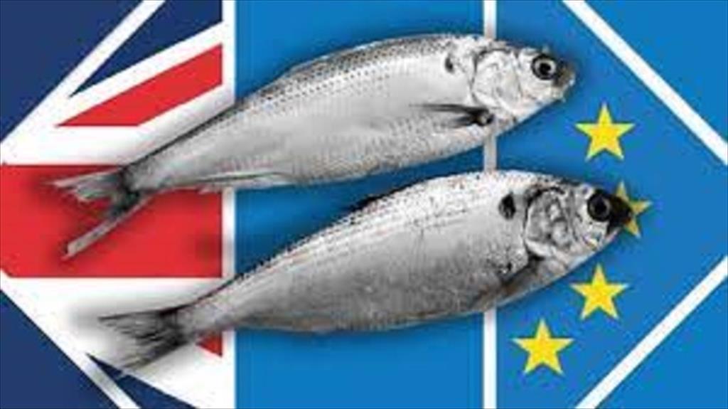 Pháp đe dọa trả đũa vì Anh không tuân thủ thỏa thuận Brexit liên quan nghề cá