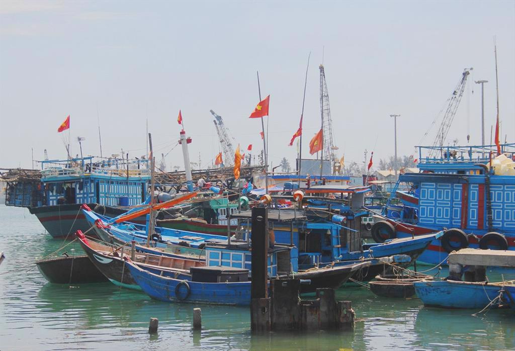 Thanh Hóa Tăng cường quản lý hoạt động khai thác thủy sản