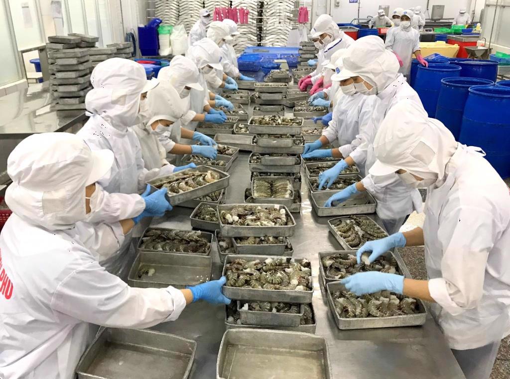 Kiểm dịch hay kiểm tra an toàn thực phẩm