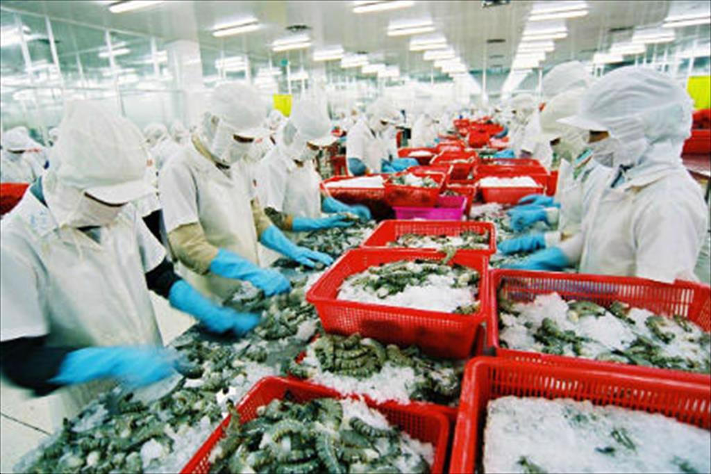 Khánh Hòa Tổng sản lượng thủy sản đạt hơn 55560 tấn