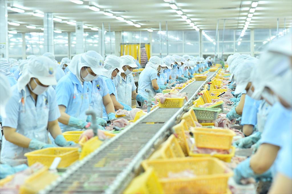 Nam Việt tiếp tục liên doanh với đối tác Hàn Quốc khởi động lại dự án collagen và gelatin