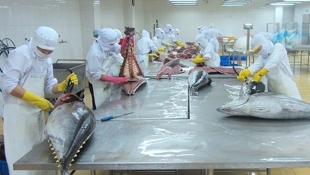 Thịtloin cá ngừ đông lạnh xuất khẩu sang Mexico được hưởng thuế 0%