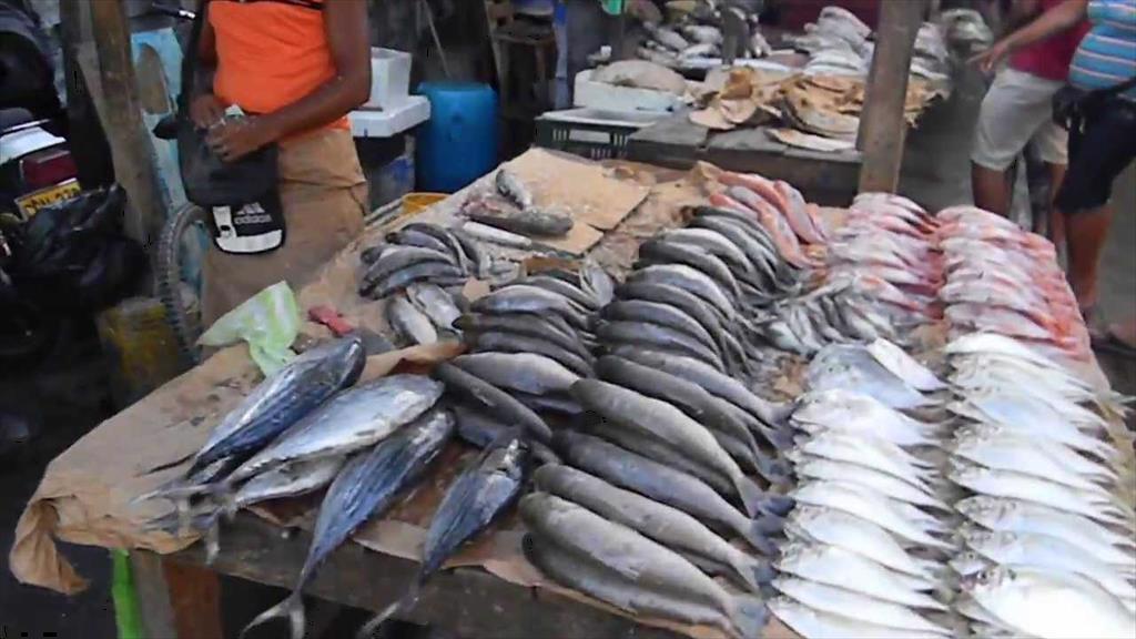 Colombia Sản lượng nuôi trồng thủy sản tăng gấp ba lần từ năm 2010