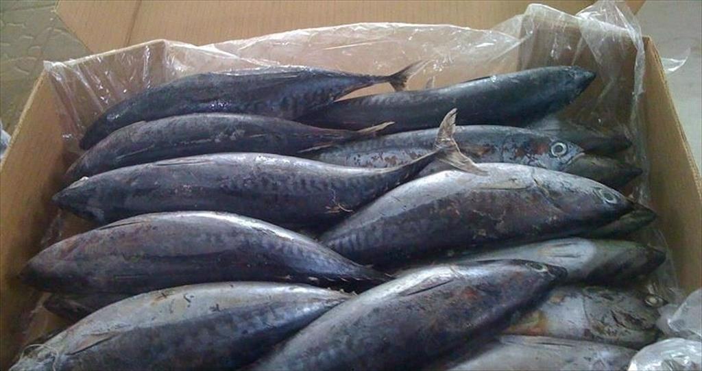 Cameroon đầu tư nuôi trồng thủy sản để giảm nhập khẩu 